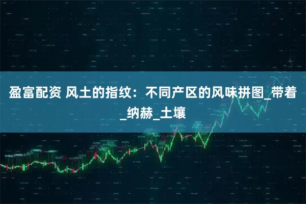 盈富配资 风土的指纹：不同产区的风味拼图_带着_纳赫_土壤
